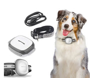 Collared Cat Dog Tracker Pet Locator Pet