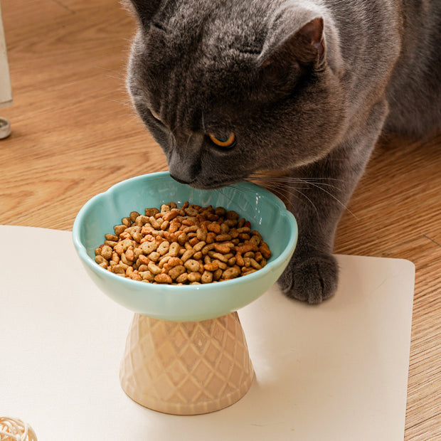 Neck Protecting Health Glaze Ceramic Pet Bowl