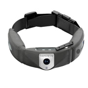 C10 Smart Pet Collar Monitoring Health Multifunctional