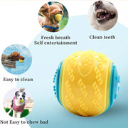Scooby-Doo Durable Squeaky Set Of 8 Dog Balls For Teeth Cleaning Interactive UK