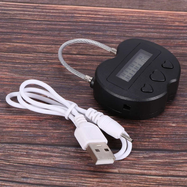 20X Smart Time Lock LCD Display Time Lock Multifunction Travel Electronic Timer, Waterproof USB Temporary Timer Padlock