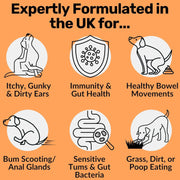 Dog Prebiotics Digestive Snacks Intestinal Health Pet Health Care Products